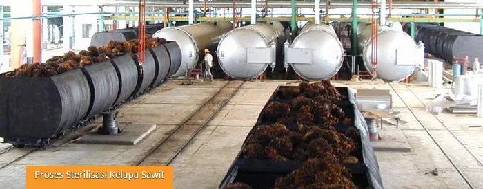 Tahap pertama pengolahan kelapa sawit, Sterilisasi